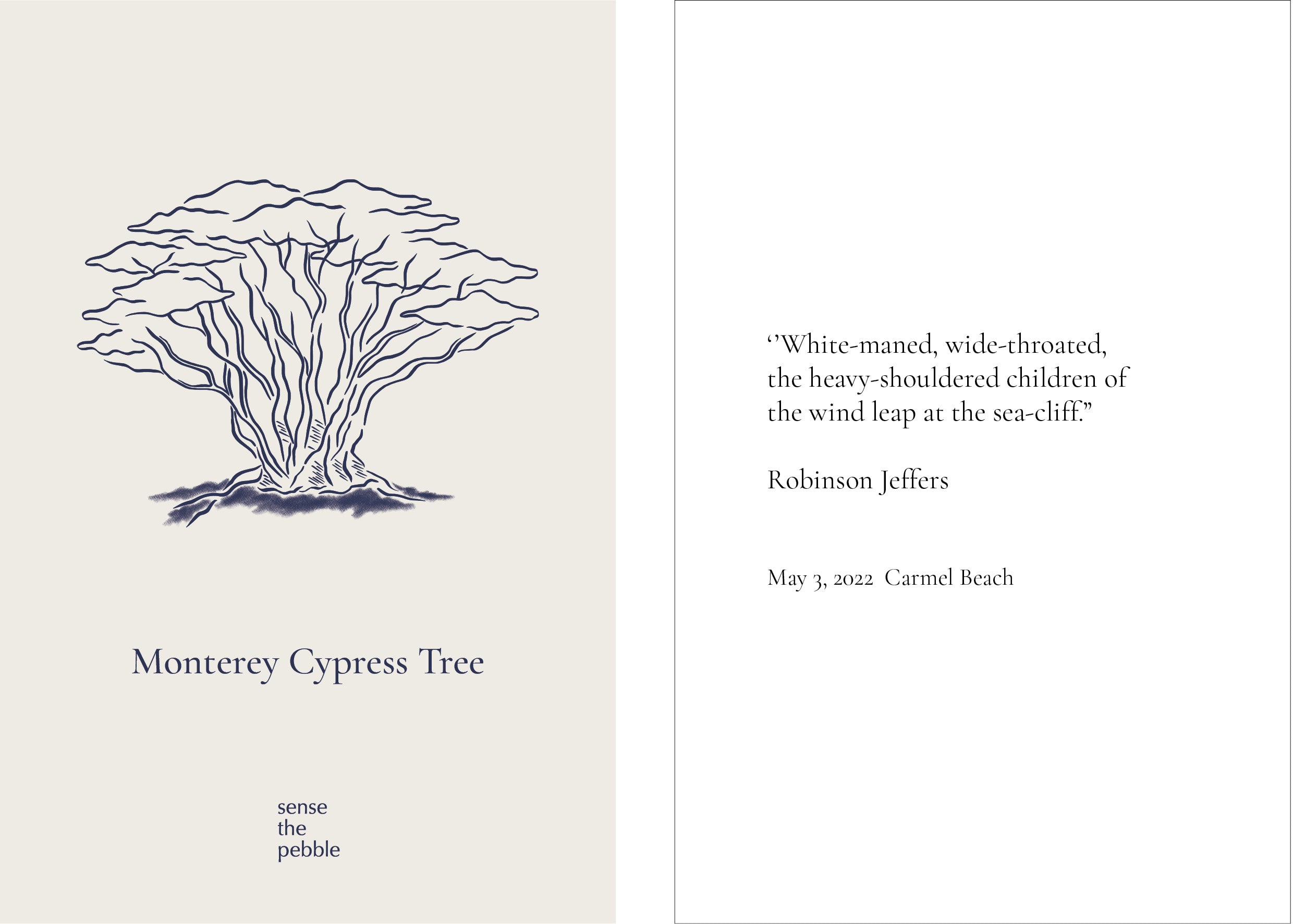 Cypress Tree